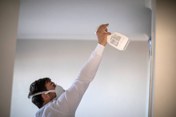 Office Mold Removal Services in Warsaw, MO