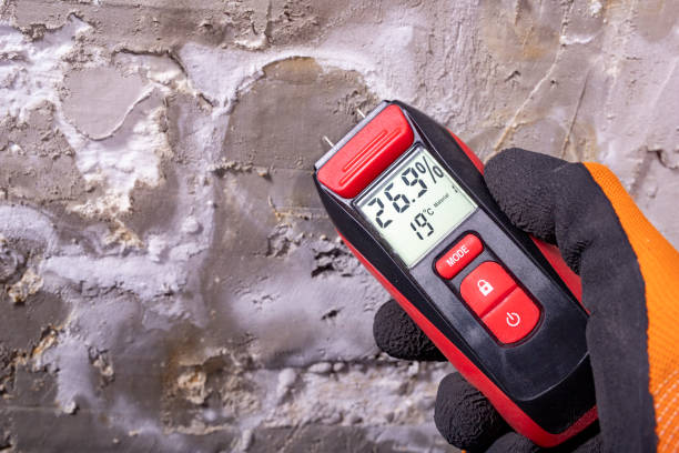 Best Best Mold Removal Companies  in Warsaw, MO