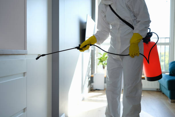 Best Local Mold Removal Service  in Warsaw, MO