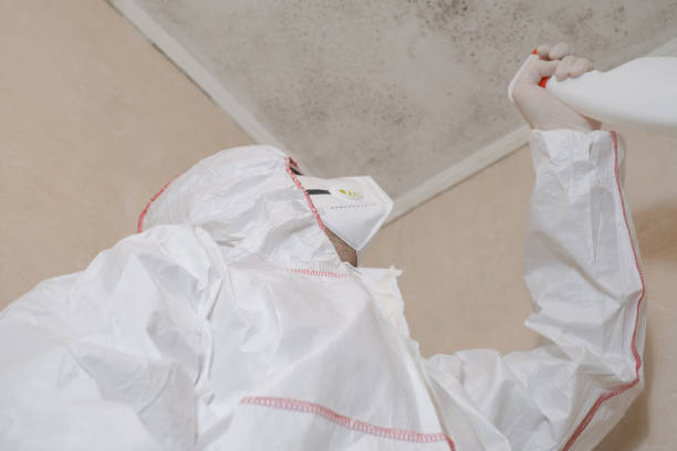 Best Attic Mold Removal  in Warsaw, MO