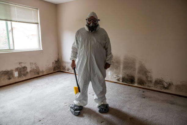 Best Commercial Mold Removal  in Warsaw, MO